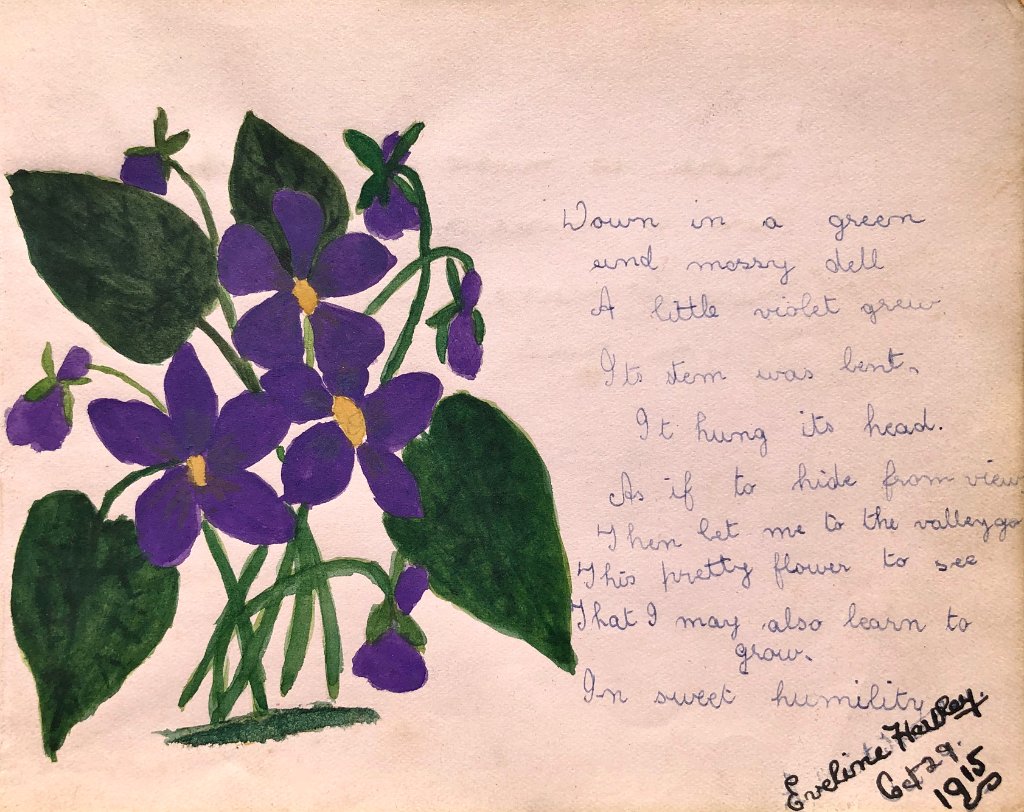 Violets