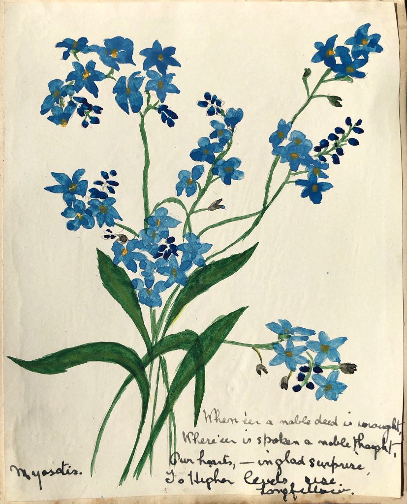 Blue Flower