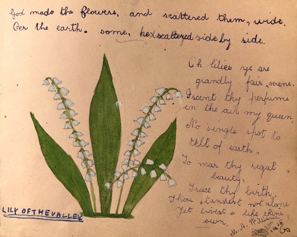 Lily of the Valley