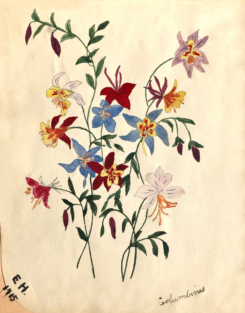Columbine