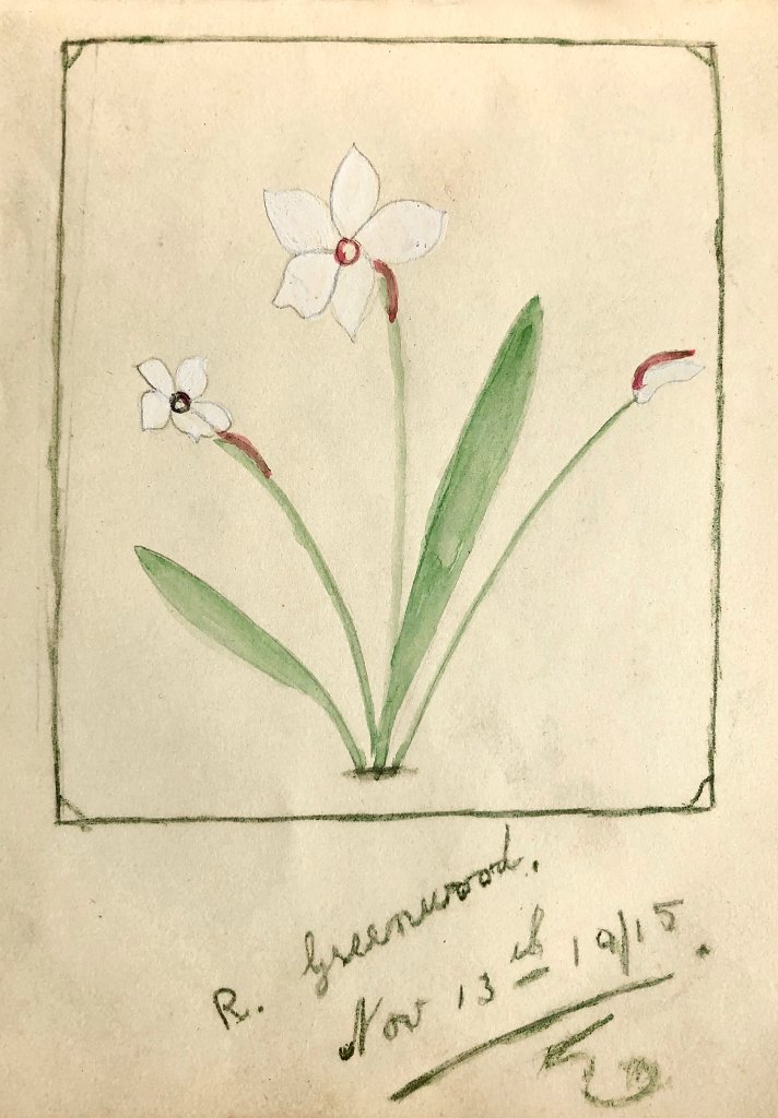 Flower