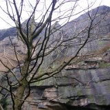 DSCN0457.JPG DSCN0457.JPG