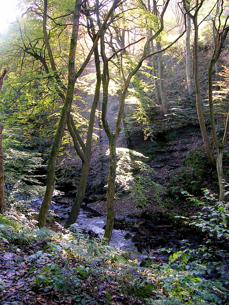 DSCN0092