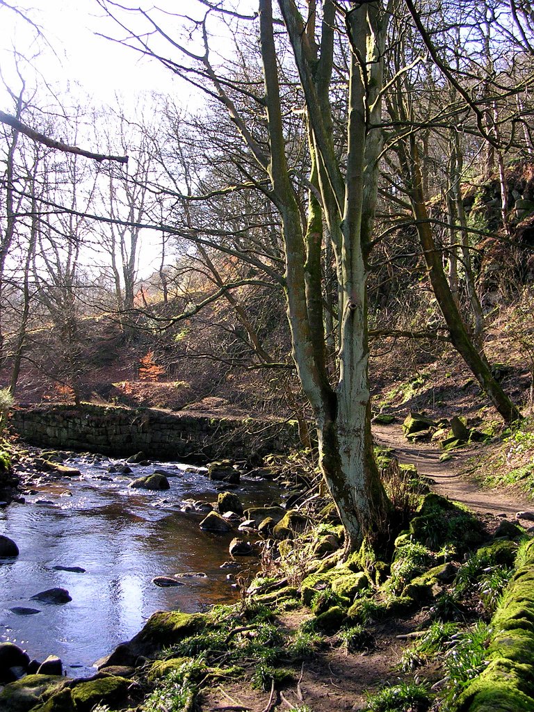 DSCN0717.JPG