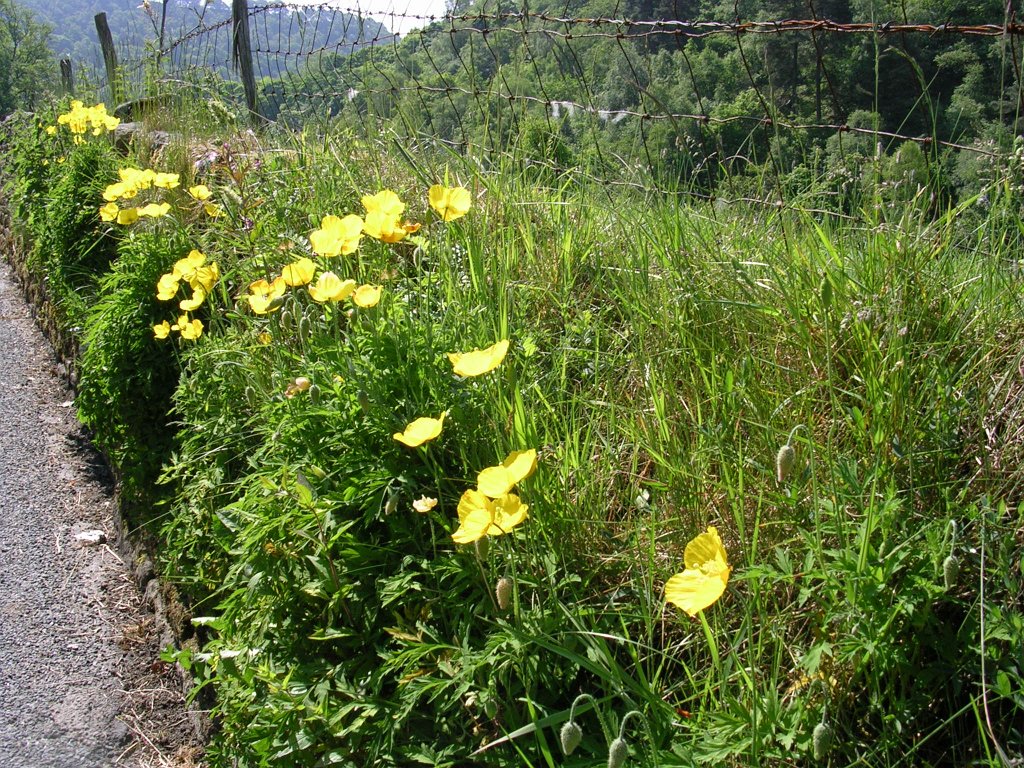 DSCN1779.JPG
