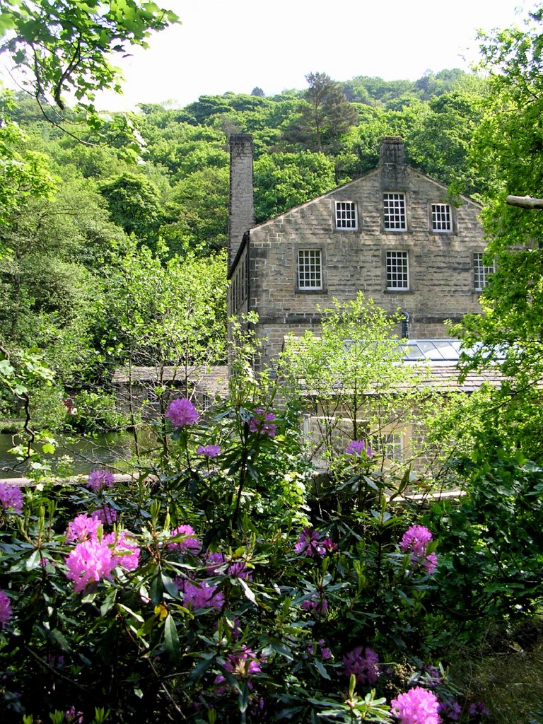 DSCN1782.JPG