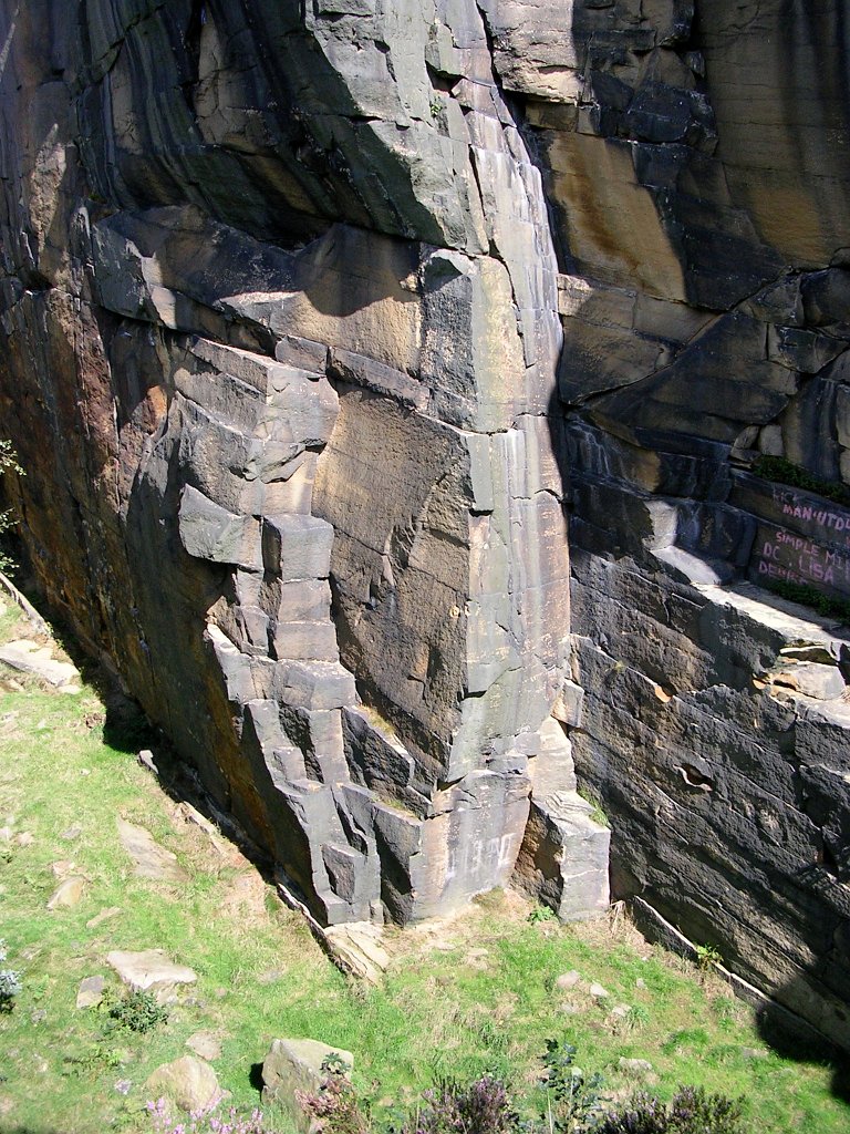 DSCN6646.JPG