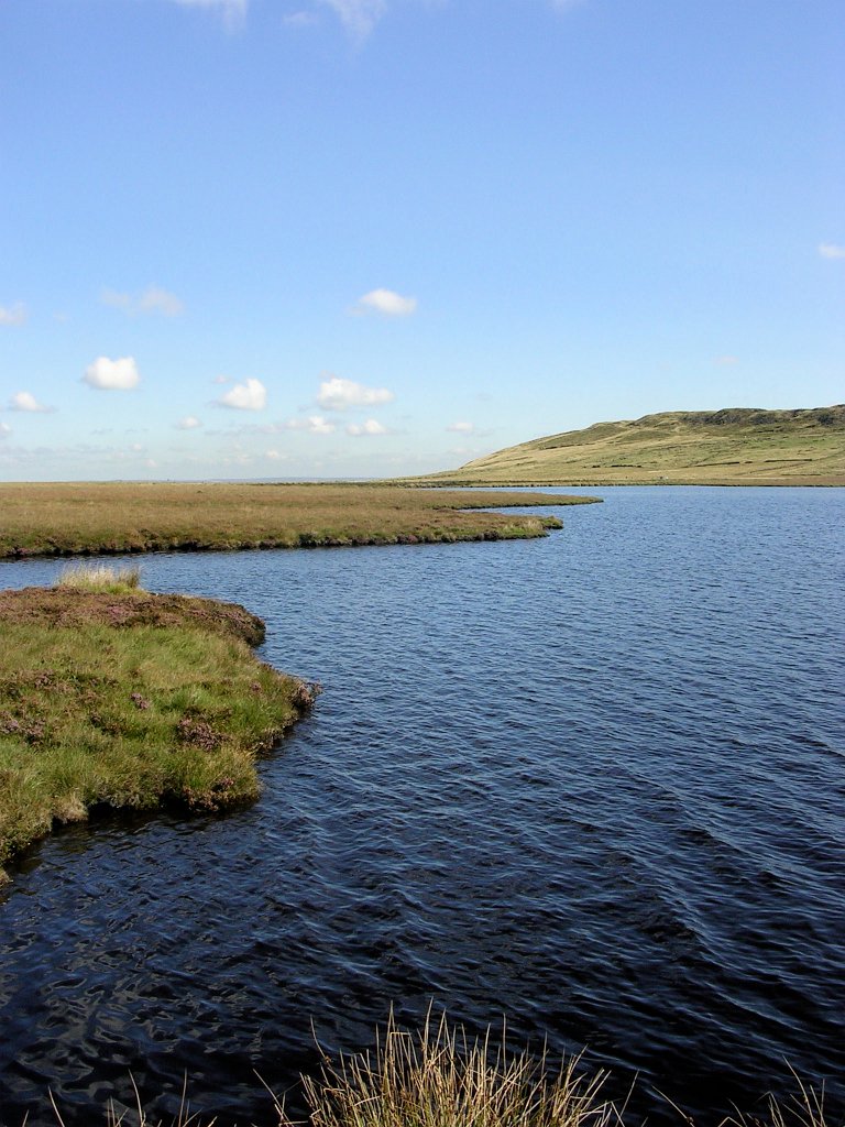 DSCN6728.JPG