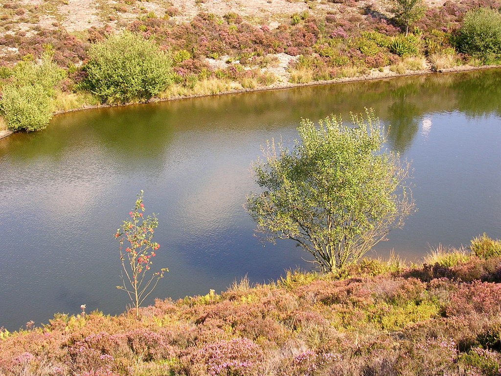 DSCN6778.JPG