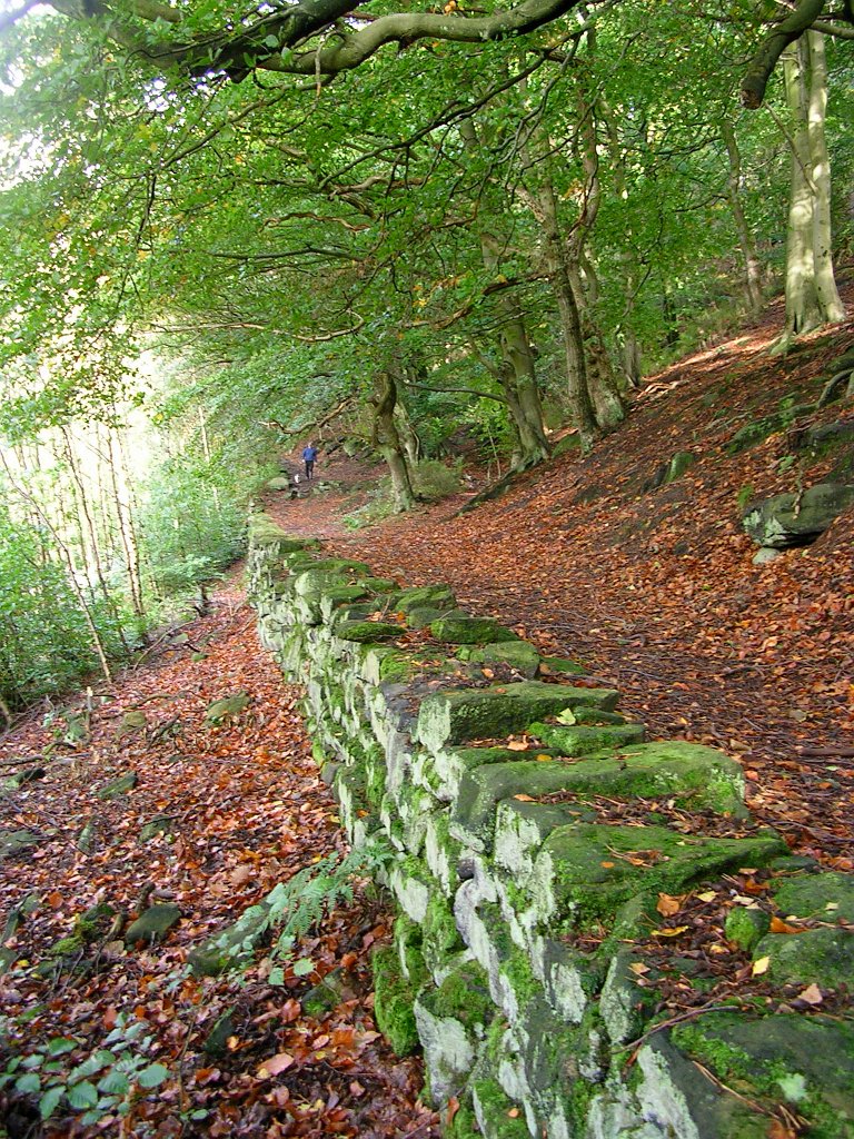 DSCN7025.JPG