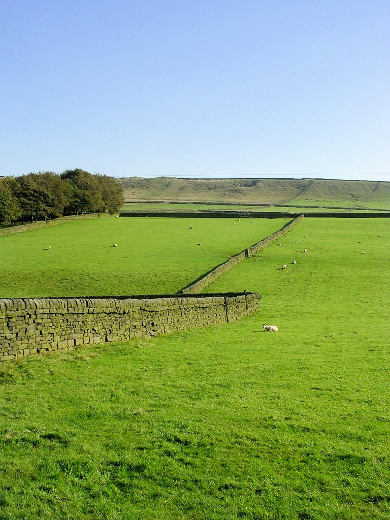DSCN7069.JPG