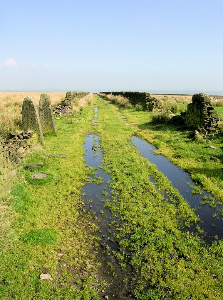 DSCN7080.JPG