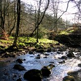 DSCN0716.JPG DSCN0716.JPG