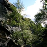 DSCN6645.JPG DSCN6645.JPG