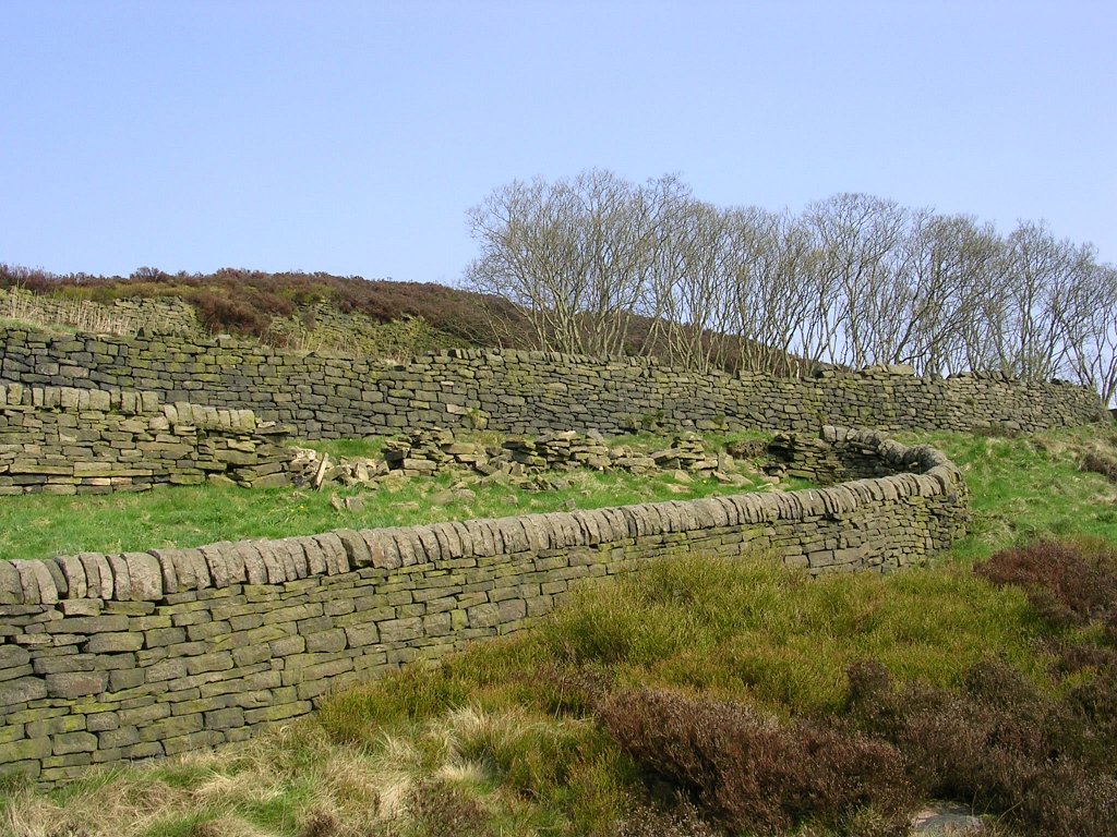 DSCN0506.JPG