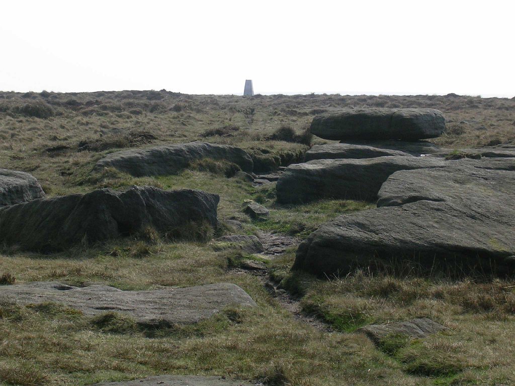 DSCN0513.JPG