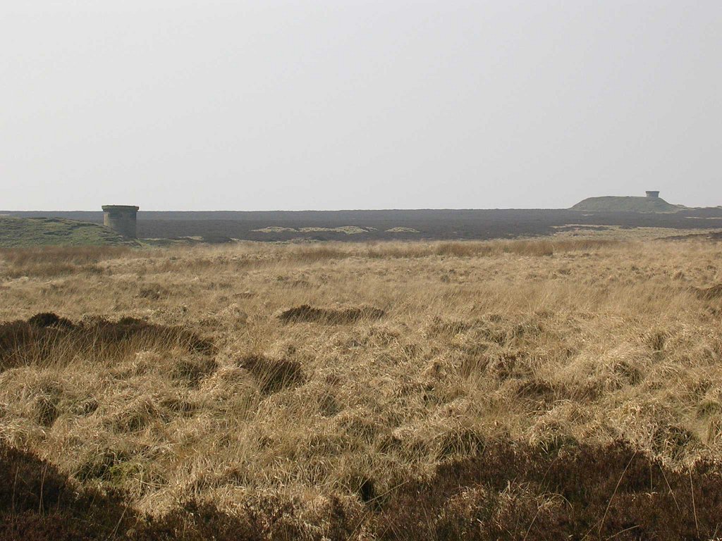 DSCN0519.JPG