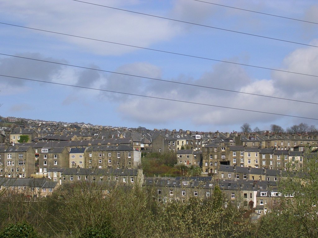 DSCN0574.JPG