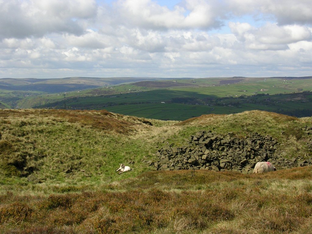 DSCN1032.JPG