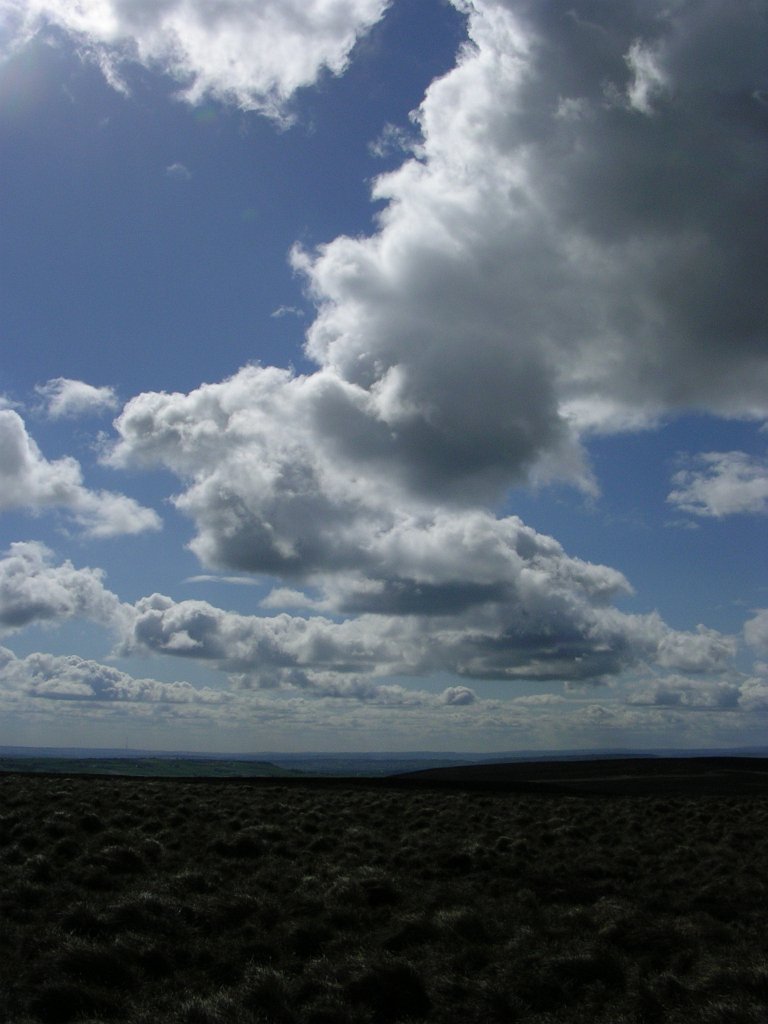 DSCN1034.JPG