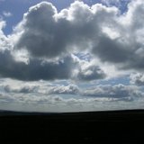 DSCN1029.JPG DSCN1029.JPG