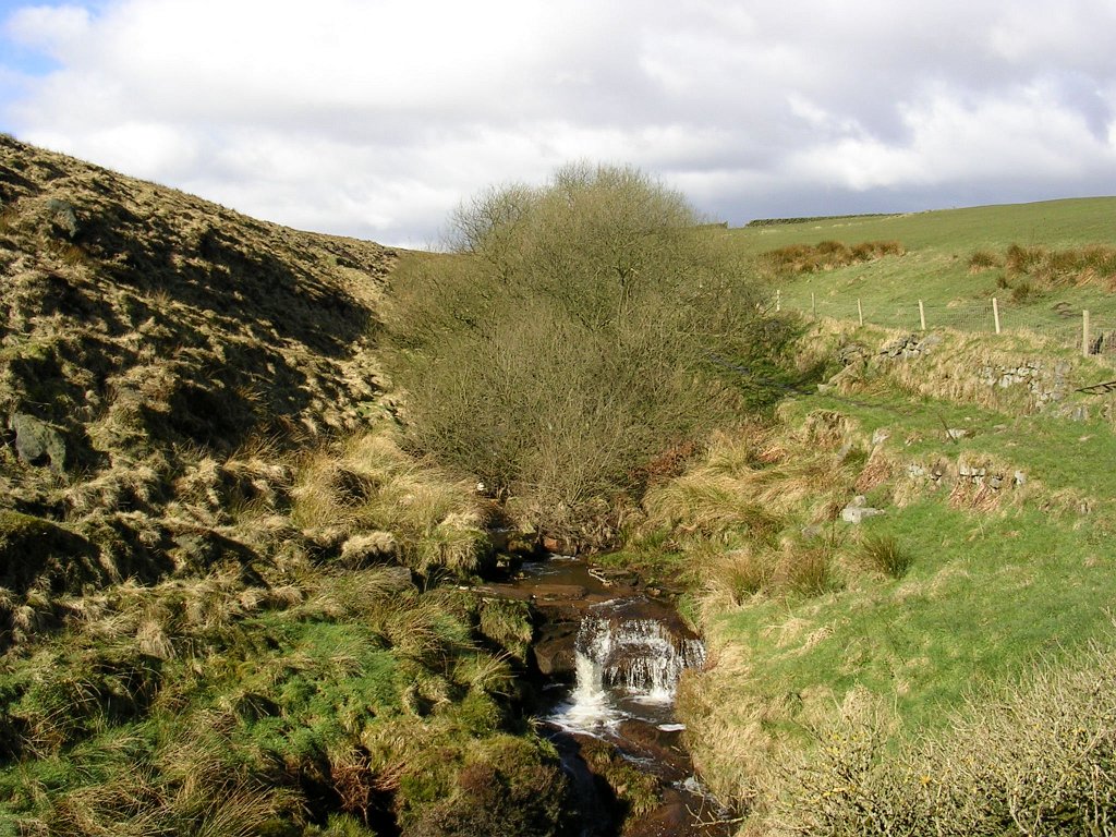 DSCN0243.JPG