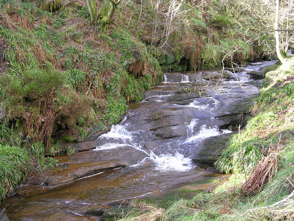DSCN0248.JPG