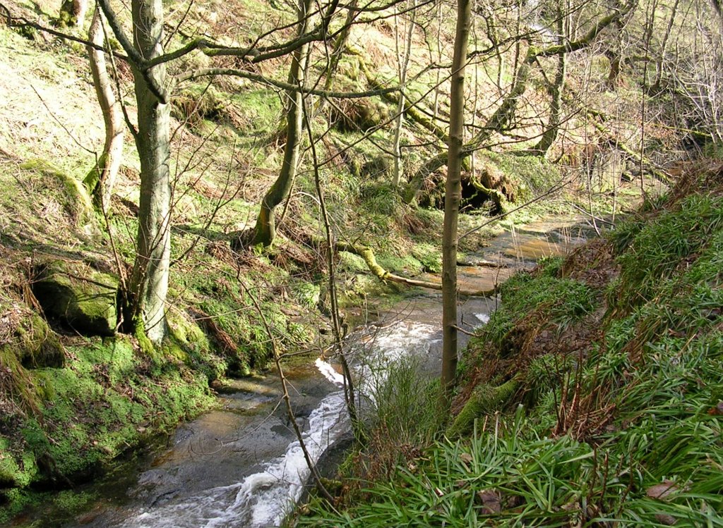 DSCN0249.JPG