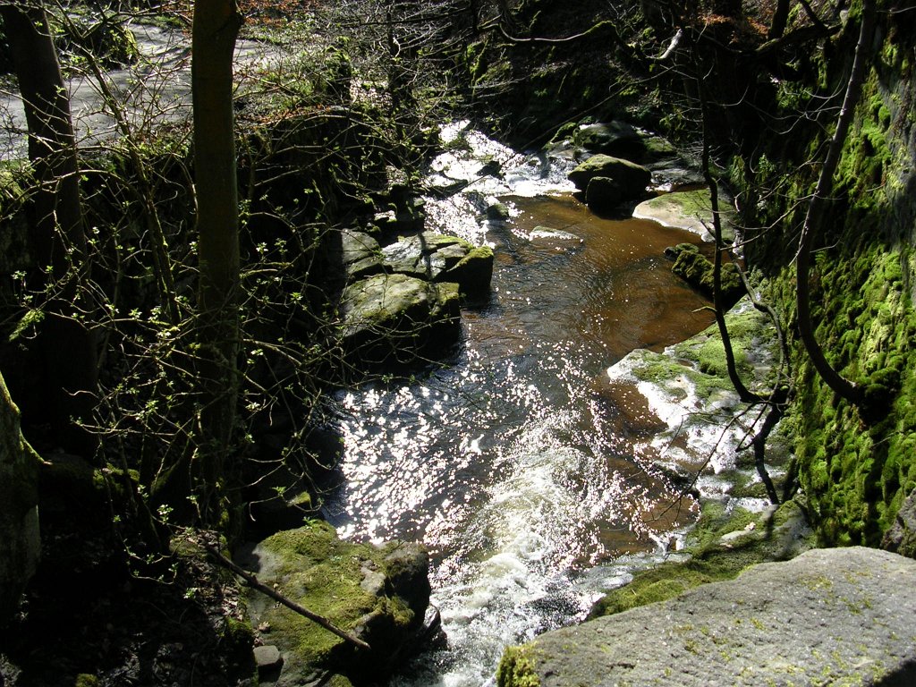 DSCN0266.JPG