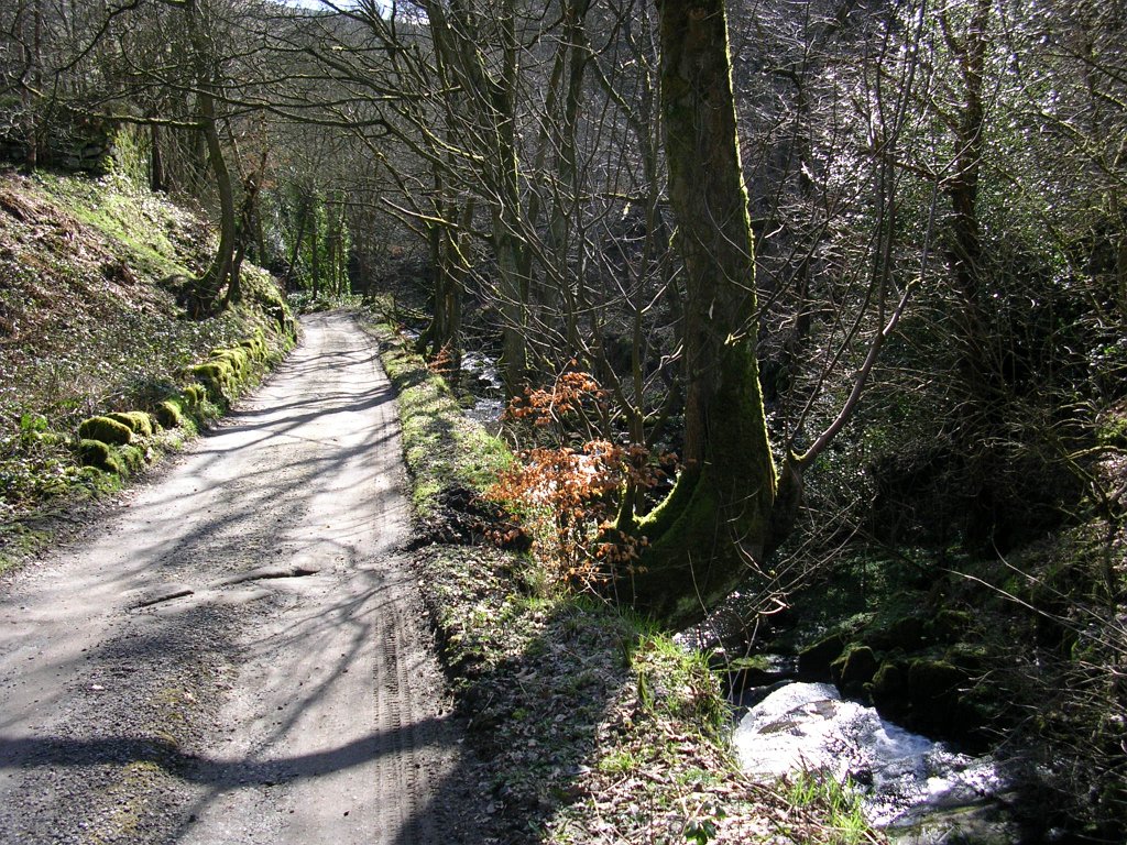 DSCN0268.JPG