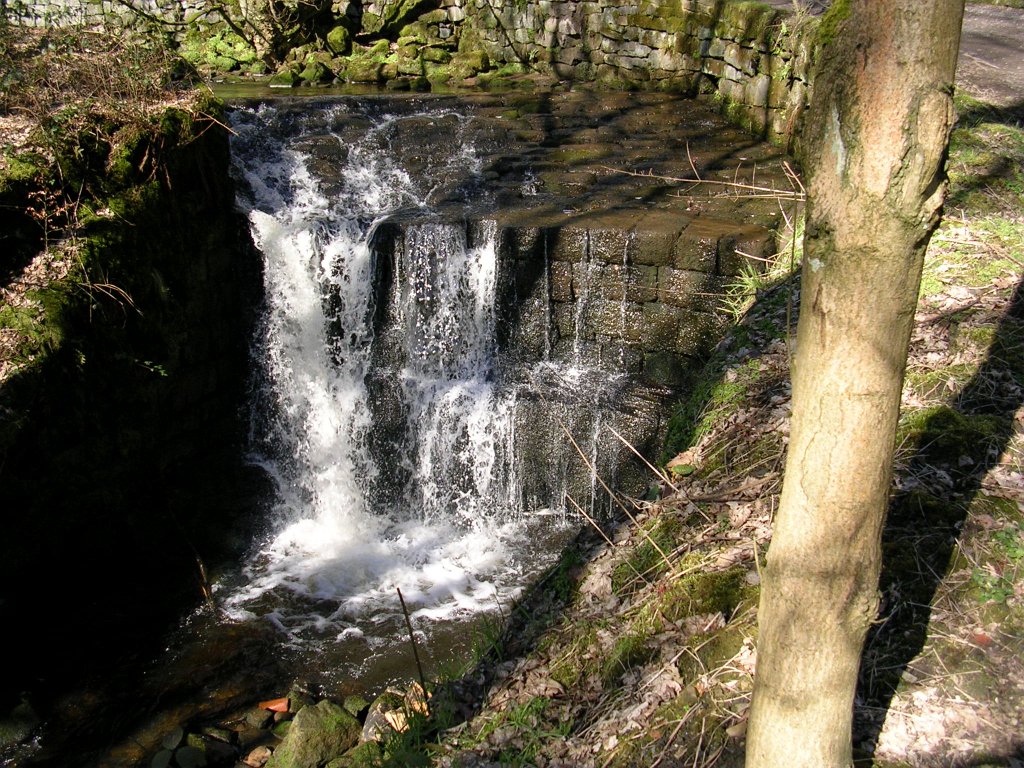 DSCN0272.JPG