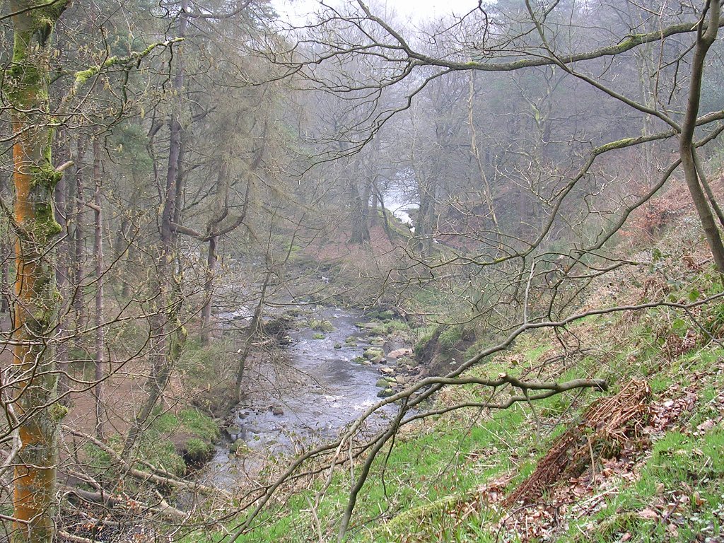 DSCN0492.JPG