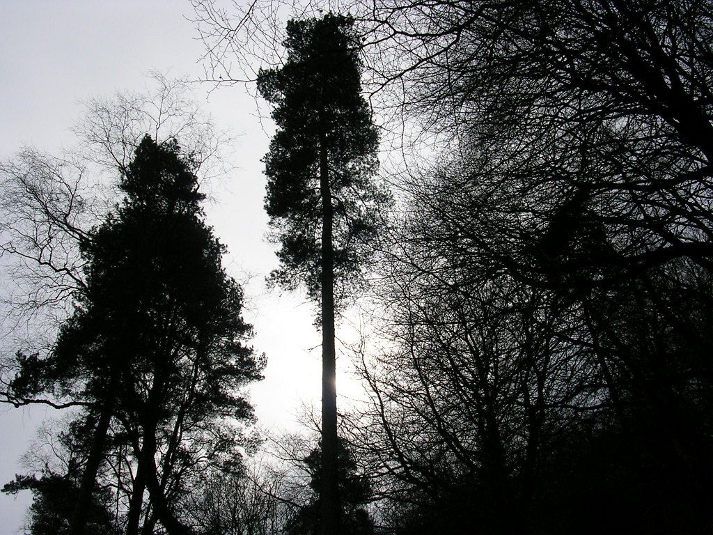 DSCN0493.JPG