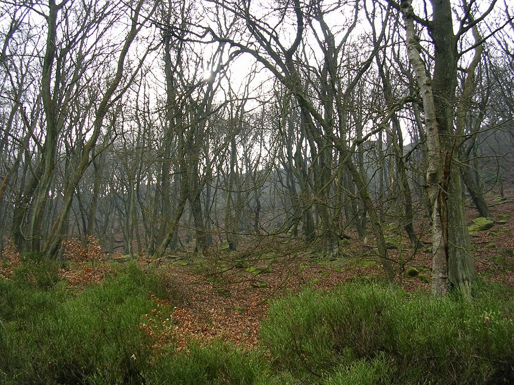 DSCN0494.JPG