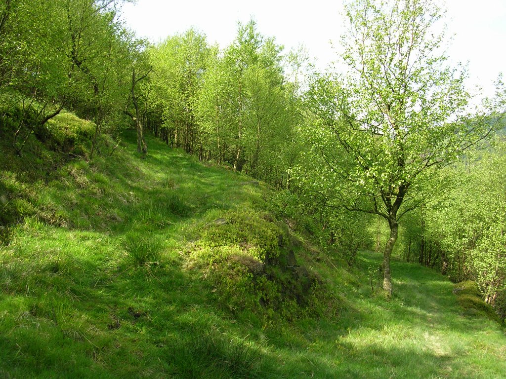 DSCN1124.JPG