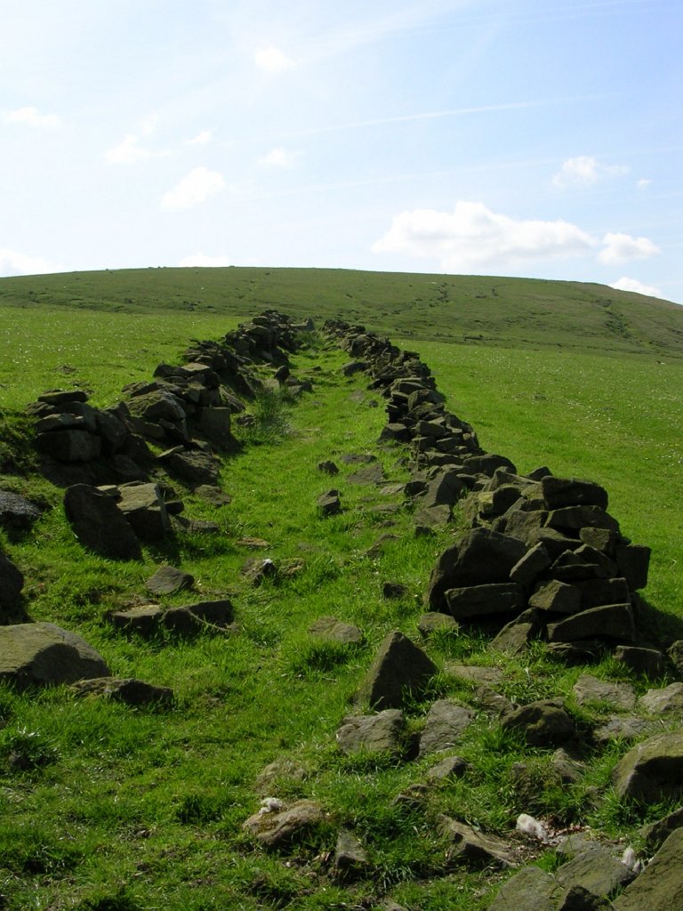 DSCN1130.JPG