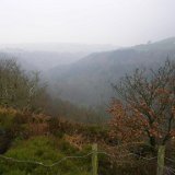 DSCN0484.JPG DSCN0484.JPG