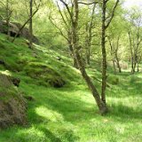 DSCN1122.JPG DSCN1122.JPG