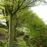 DSCN1125.JPG DSCN1125.JPG
