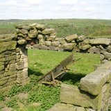 DSCN1137.JPG DSCN1137.JPG