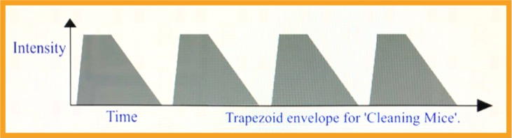 Trapezoid Envelope for 'Cleaning Mice'